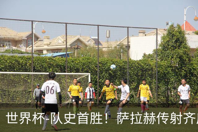 世界杯-队史首胜！萨拉赫传射齐库建功 埃及3-1新西兰升至榜首